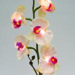 Орхидея в вазе. Цвет лепестков: сиреневый/розовый. 7 LED, теплый белый цвет свечения, 3*АА, 63*10см, PL307