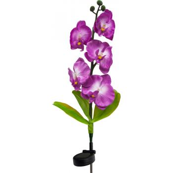 Светильник садово-парковый на солнечной батарее "Орхидея фиолетовая", 5 LED белый, 70см , PL301